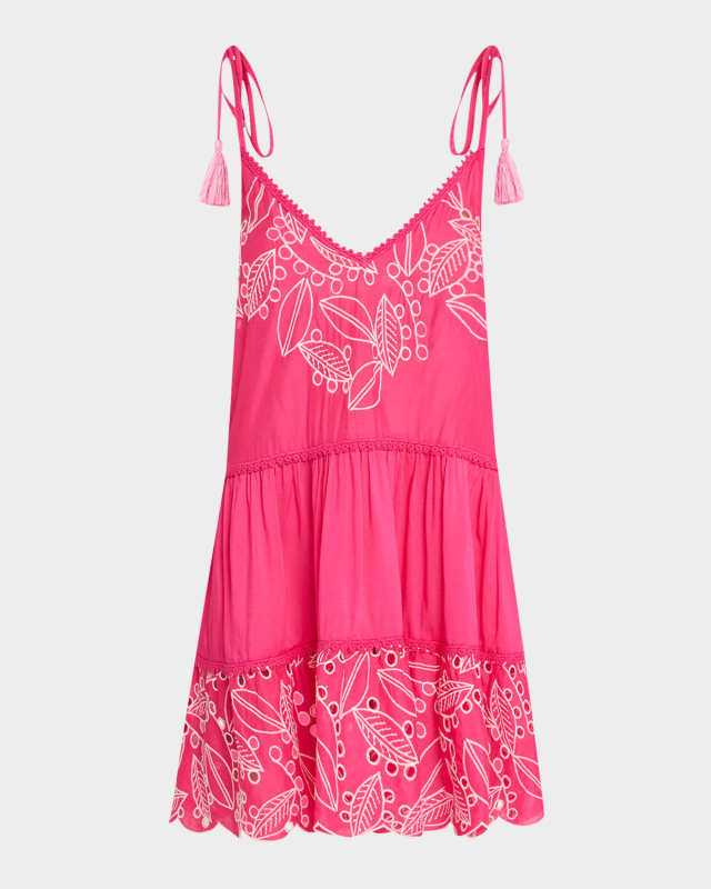 Makenzy Embroidered Mini Dress